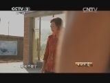 生财有道 《生财有道》 20140806 异国大鸟的财富