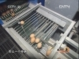 生财有道 [生财有道]从收鸡蛋到鸡司令（20120426）