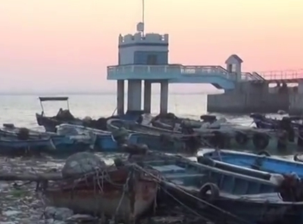 闽南船矶探黑鲷