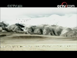 民歌&middot;中国 民歌·中国 2008年 第111期