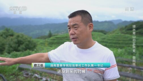 人物&middot;故事 《人物·故事》 20200813 绿水青山的实践者·盛阿伟