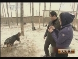生财有道 《生财有道》 20131213 千金难买的高原珍宝