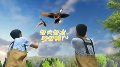 与梦想合拍 好山好水养好鸭