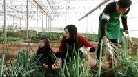你是我的菜 你是我的菜 151204