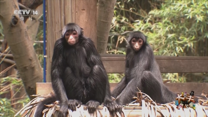 《大手牵小手》 20260202