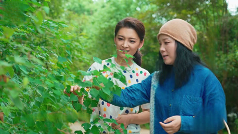 千年历史古城芜湖 姿彩如画染江城