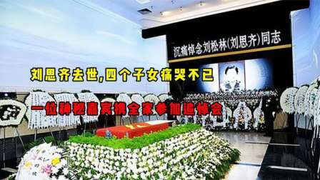 红墙往事 刘思齐去世，四个子女痛哭不已，一位神秘人物携全家参加追悼会