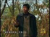 《寻找安东卫》
