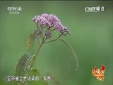 远方的家 《远方的家》 20150426 北纬30°·中国行（67）不一样的神农架