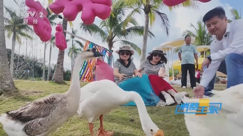 《消费主张》 20260205 节前消费看市场:旅居过年!银发消费新场景!(上)