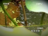 地理中国 《地理中国》 20160119 龟背奇潭（下）