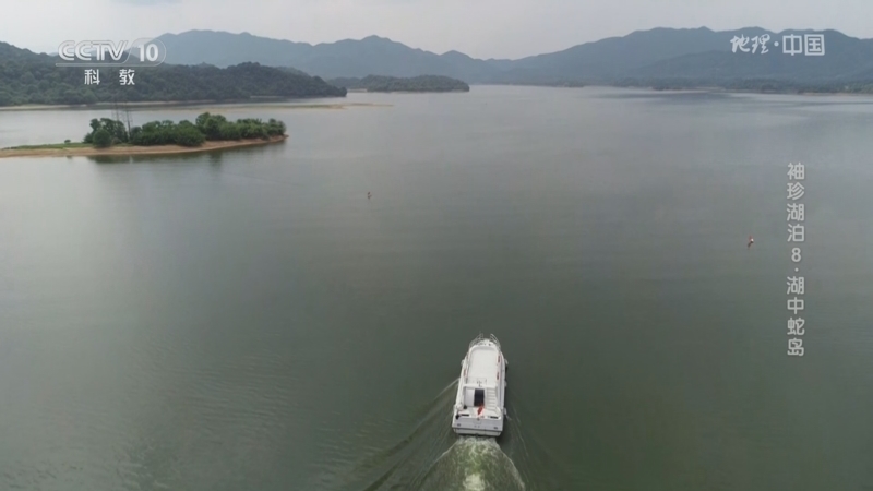 地理中国 《地理·中国》 20241215 袖珍湖泊8·湖中蛇岛