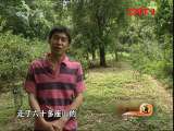 生财有道 《生财有道》 20111106 千里寻茶记