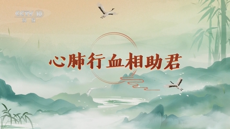 百家讲坛 《百家讲坛》 20250313 延年益寿话养生（第一部） 12 心肺行血相助君