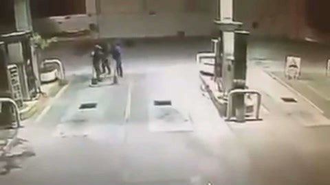 网罗天下 加油站被打劫流浪狗相救