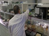 走近科学 《走近科学》 20170613 走进国家重点实验室 锄禾者新说（下）