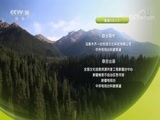 探索发现 《探索发现》 20180811 新疆味道（续）七