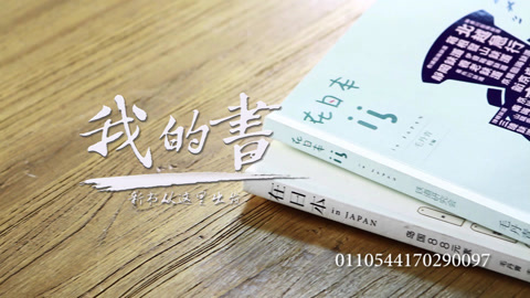 我的书 毛丹青：没有出现职业翻译家是我们的重大失败