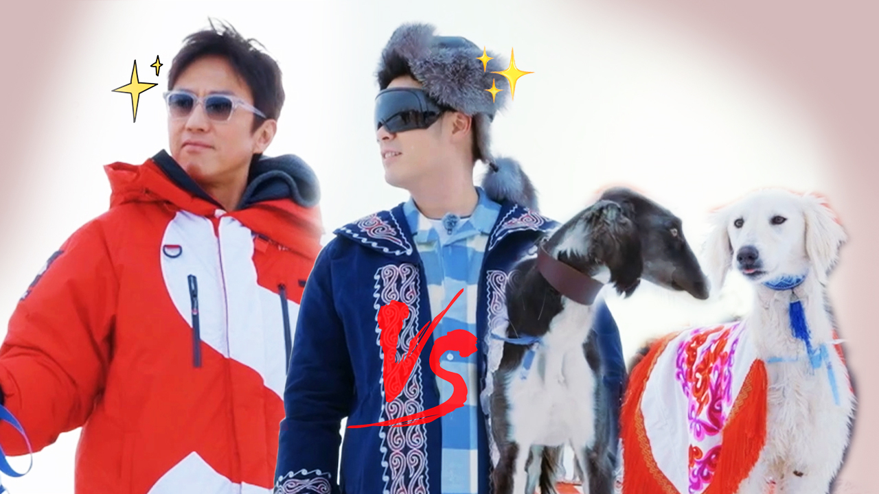 第1期加更：五哈团爆改动物园演技大赏