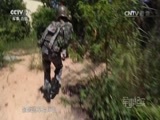 军事纪实 《军事纪实》 20170808 特战女兵向前冲（下）