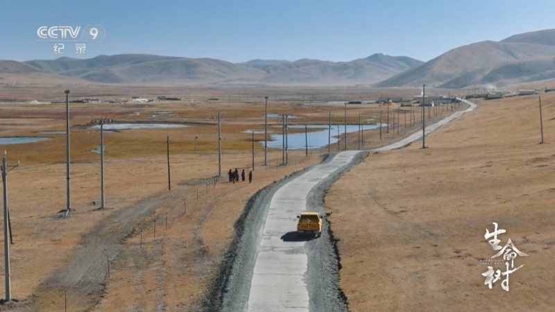 《生命树》 第6集 草场新生