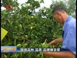 重庆新闻联播 《重庆新闻联播》 20161010