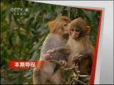 远方的家 感受别样海岛风情
