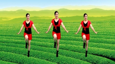 山歌广场舞《欢迎你到壮乡来》旋律动听 舞蹈优美好看