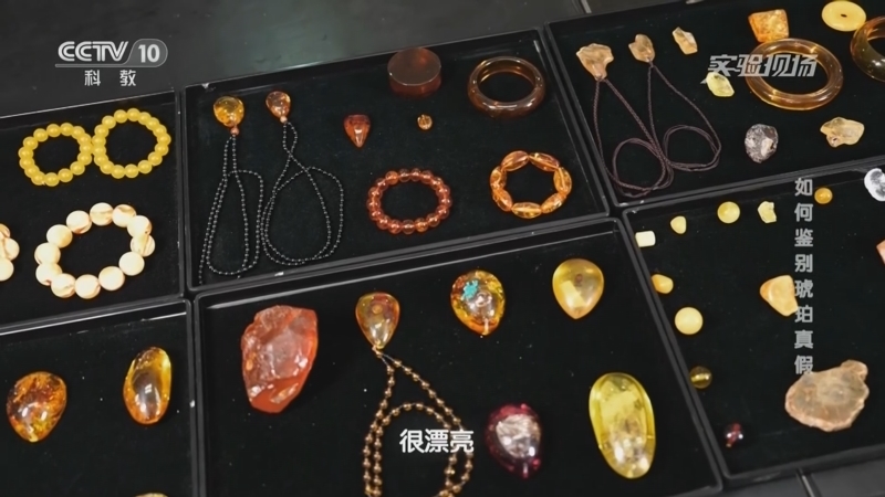 实验现场 《实验现场》 20231015 如何鉴别琥珀真假