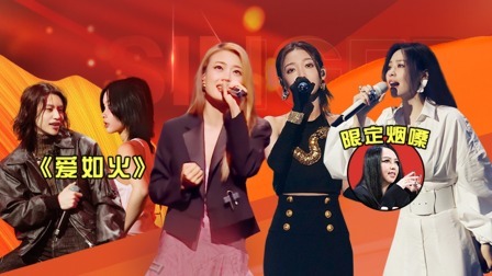 天赐的声音 第四季 纯享版：刘柏辛王琳凯超燃改编《爱如火》，魔性BGM嗨翻全场