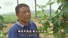 致富经 [致富经]种瓜不卖瓜 年入八千万 20160906