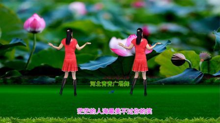 流行DJ广场舞及教学 第三季 甜美DJ广场舞《最美不过你的笑》32步演示+分解