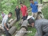 走近科学 《走近科学》 20140304 阿坝中蜂（下）
