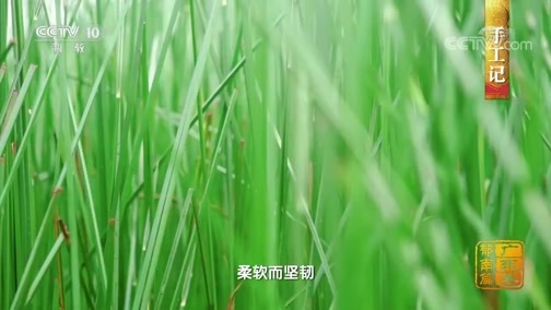 中国影像方志 《中国影像方志》 第422集 广东郁南篇