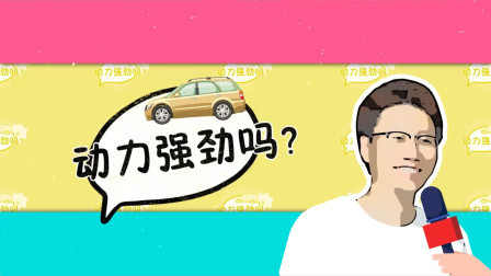 听车主如何评价自己的爱车
