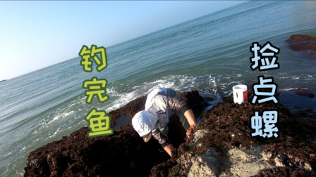 阿杰到无人岛海钓，大章跳咬上了阿杰的鱼钩，结果又被戏弄了
