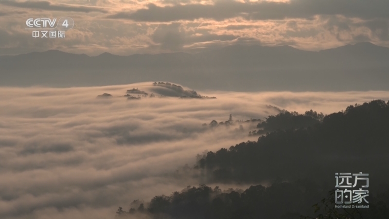 《远方的家》 20251022 山河锦绣看中国 山水相依 多彩普洱