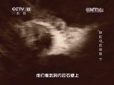 地理中国 《地理中国》 20141101 “巨缸村”的秘密（下）