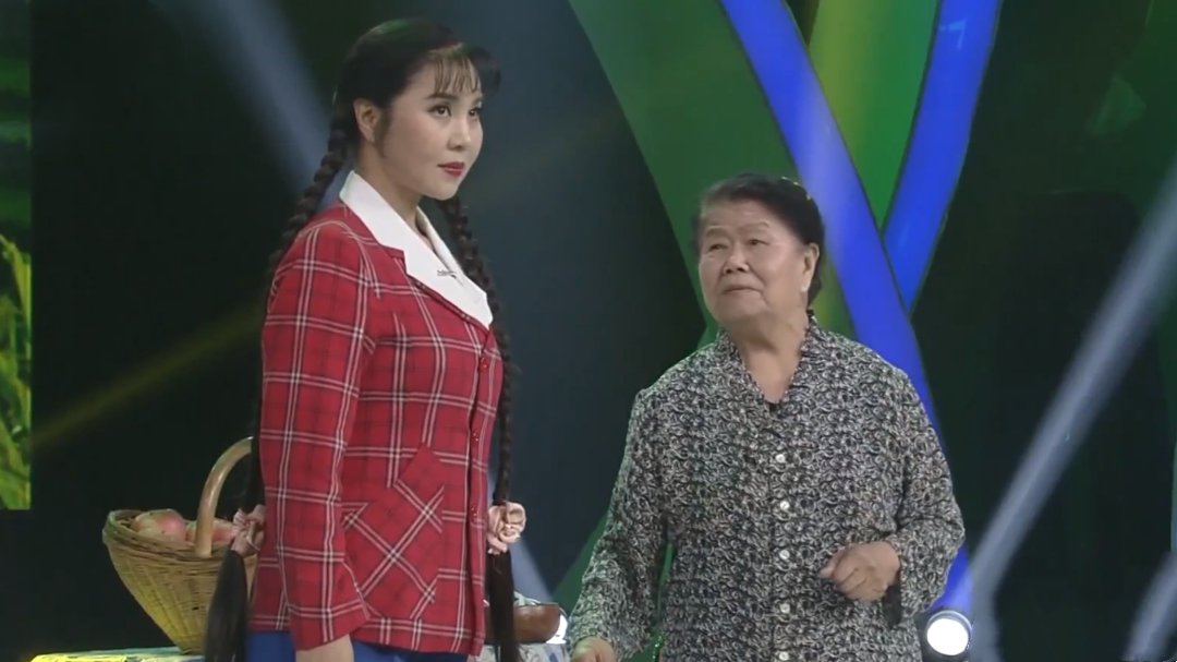 梨园春天天看 杨华瑞 杨红霞 豫剧《朝阳沟》选段