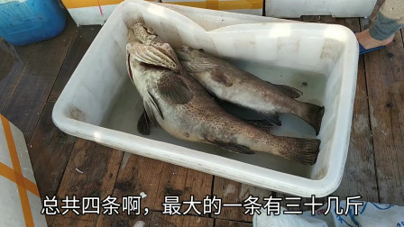 南澳岛赶海日记 赶海小伙出海捕鱼归来，既然遇到30多斤的石斑鱼，猜猜卖了多少钱