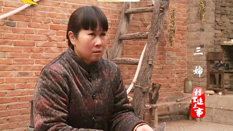 村里这点事 刀子嘴豆腐心的三婶