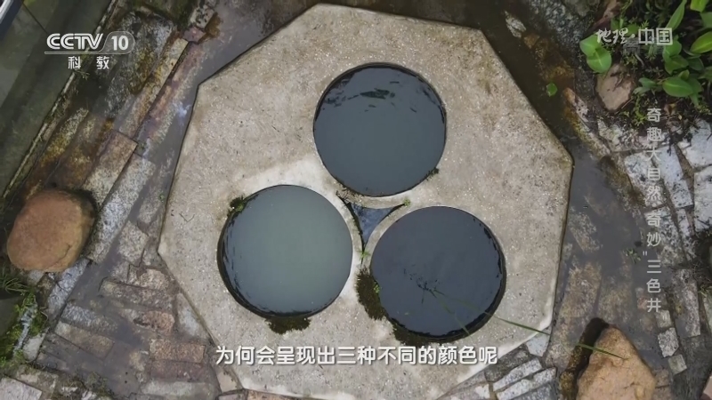 地理中国 《地理·中国》 20201211 奇趣大自然·奇妙“三色井”