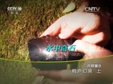 地理中国 《地理中国》 20160416 桐庐幻境 （上）