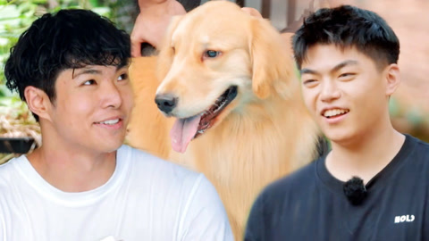 我的主场 主场少年升级训狗大师 小金毛水中撒欢太治愈了