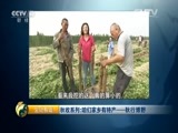 生财有道 《生财有道》 20151027 秋收系列：咱们家乡有特产——秋行博野