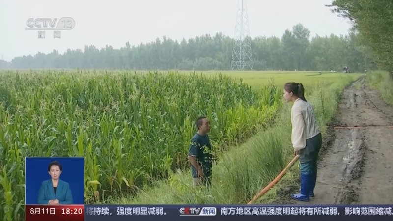 共同关注 《共同关注》 20240811