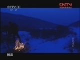 金色道钉 《发现之路》 20110727 金色道钉 第三集 严酷的寒冬