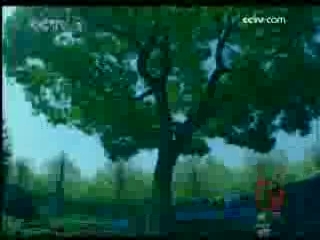 见证 人之杰