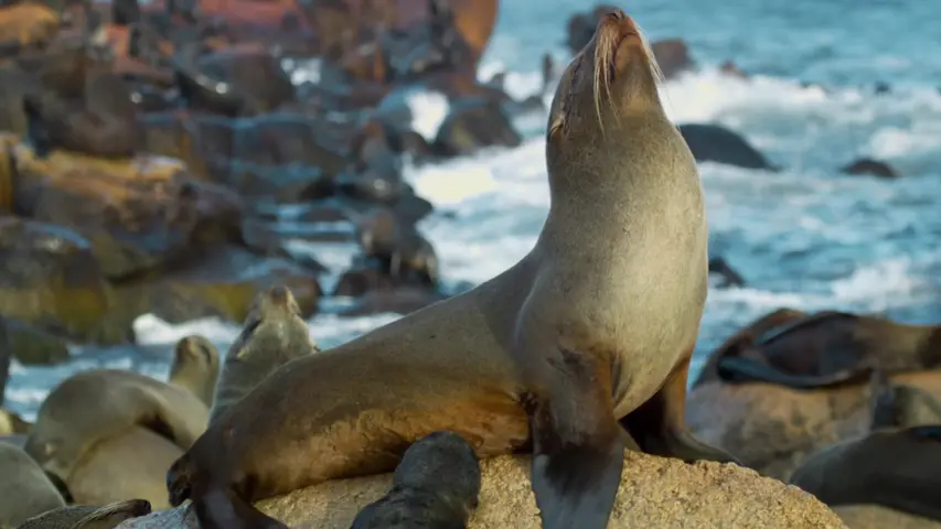 《野性乌拉圭》第1集