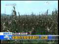 晚间新闻 [视频][国家防总]全国农作物受旱面积1.2亿亩